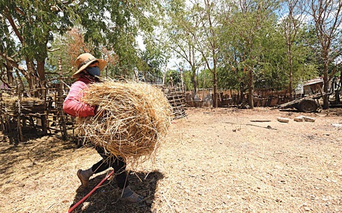 Du mục trên tiểu sa mạc Ninh Thuận - Ảnh 4. Du mục trên tiểu sa mạc Ninh Thuận - Ảnh 4.