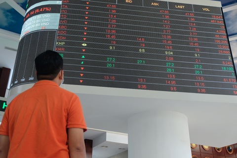 Cổ phiếu rớt giá, nhà đầu tư nhỏ nhảy vào cuộc chơi bắt đáy - Ảnh 1. Cổ phiếu rớt giá, nhà đầu tư nhỏ nhảy vào cuộc chơi bắt đáy - Ảnh 1.