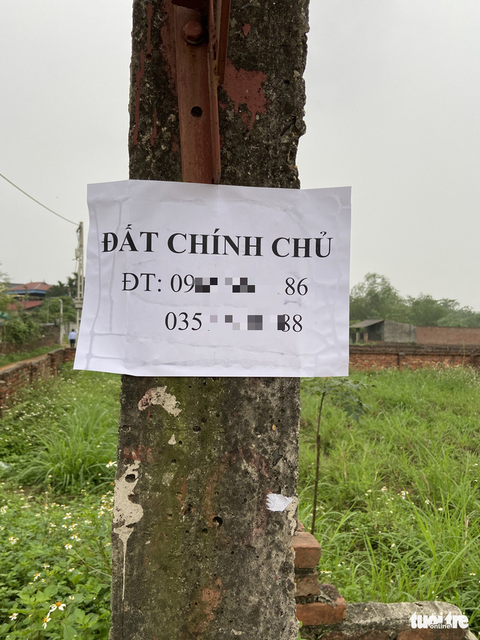 Cò thổi giá đất, xe hơi ùn ùn đổ về Đồng Trúc lướt sóng bất chấp COVID-19 - Ảnh 4. Cò thổi giá đất, xe hơi ùn ùn đổ về Đồng Trúc lướt sóng bất chấp COVID-19 - Ảnh 4.