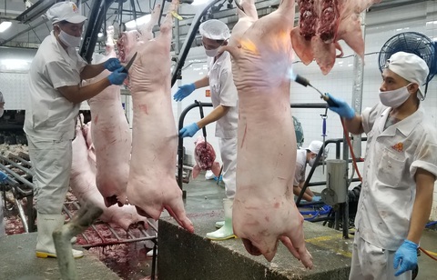 Đồng Nai công bố hết dịch tả heo châu Phi - Ảnh 1. Đồng Nai công bố hết dịch tả heo châu Phi - Ảnh 1.
