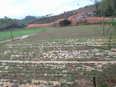 Dông lốc quật đứt cầu treo, mưa đá dày đặc lại xuất hiện ở Lào Cai - Ảnh 4. Dông lốc quật đứt cầu treo, mưa đá dày đặc lại xuất hiện ở Lào Cai - Ảnh 4.