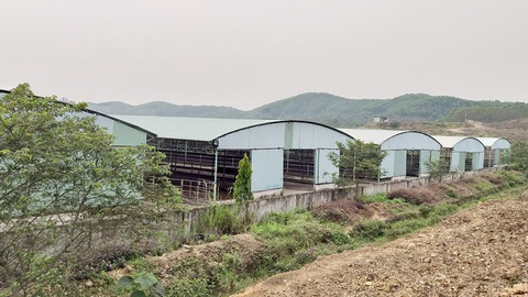 Bầu Đức và Tập đoàn HAGL liên quan gì vụ án Trần Bắc Hà? - Ảnh 1. Bầu Đức và Tập đoàn HAGL liên quan gì vụ án Trần Bắc Hà? - Ảnh 1.