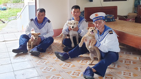Lính Trường Sa và những người bạn 4 chân - Ảnh 1. Lính Trường Sa và những người bạn 4 chân - Ảnh 1.
