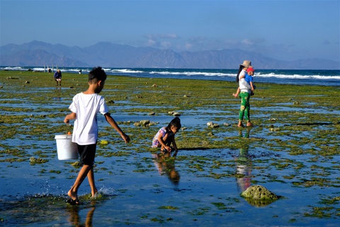 Chiêm ngưỡng bãi rêu xanh tuyệt đẹp ở Ninh Thuận - Ảnh 6. Chiêm ngưỡng bãi rêu xanh tuyệt đẹp ở Ninh Thuận - Ảnh 6.