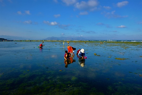 Chiêm ngưỡng bãi rêu xanh tuyệt đẹp ở Ninh Thuận - Ảnh 9. Chiêm ngưỡng bãi rêu xanh tuyệt đẹp ở Ninh Thuận - Ảnh 9.