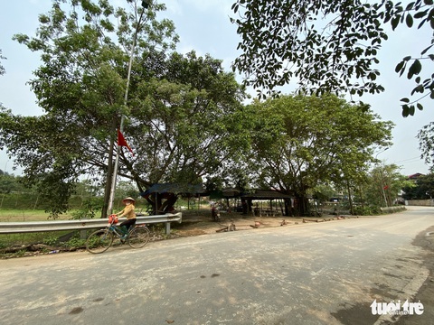 Chính quyền dẹp chợ đất mọc giữa dịch vì một thông tin trên giấy - Ảnh 3. Chính quyền dẹp chợ đất mọc giữa dịch vì một thông tin trên giấy - Ảnh 3.