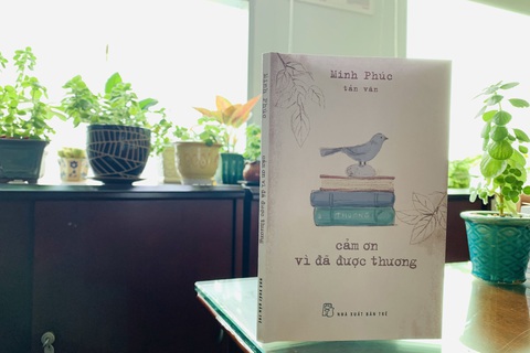 Cảm ơn vì đã được thương - Ảnh 1. Cảm ơn vì đã được thương - Ảnh 1.
