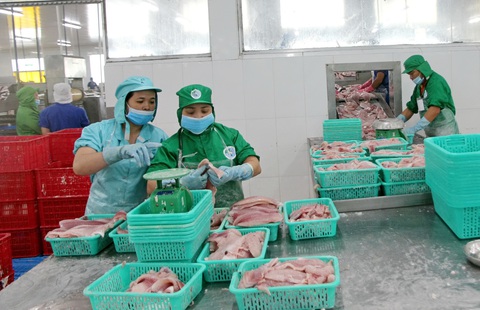 Gấp rút giãn nợ cho người vay vốn - Ảnh 3. Gấp rút giãn nợ cho người vay vốn - Ảnh 3.