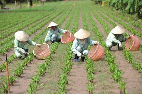 Tìm lối thoát cho chứng đi tiểu nhiều lần về đêm - Ảnh 1. Tìm lối thoát cho chứng đi tiểu nhiều lần về đêm - Ảnh 1.