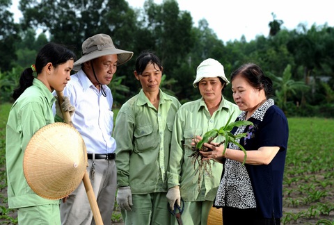 Tìm lối thoát cho chứng đi tiểu nhiều lần về đêm - Ảnh 3. Tìm lối thoát cho chứng đi tiểu nhiều lần về đêm - Ảnh 3.