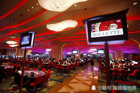 Người Macau trở lại nhịp sống bình thường sau khi hết dịch COVID-19 - Ảnh 2. Người Macau trở lại nhịp sống bình thường sau khi hết dịch COVID-19 - Ảnh 2.