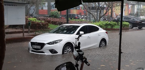 Hà Nội mưa như trút nước, cây lớn bật gốc đè bẹp ôtô - Ảnh 6. Hà Nội mưa như trút nước, cây lớn bật gốc đè bẹp ôtô - Ảnh 6.