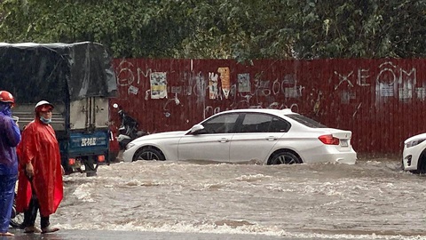 Hà Nội mưa như trút nước, cây lớn bật gốc đè bẹp ôtô - Ảnh 3. Hà Nội mưa như trút nước, cây lớn bật gốc đè bẹp ôtô - Ảnh 3.
