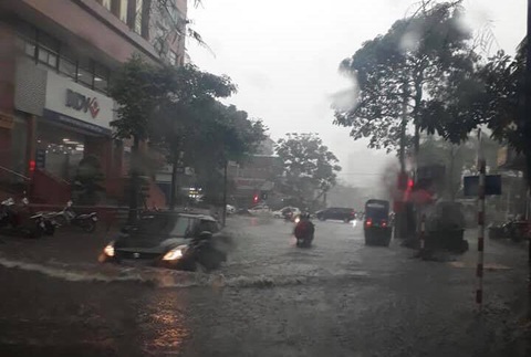 Hà Nội mưa như trút nước, cây lớn bật gốc đè bẹp ôtô - Ảnh 2. Hà Nội mưa như trút nước, cây lớn bật gốc đè bẹp ôtô - Ảnh 2.