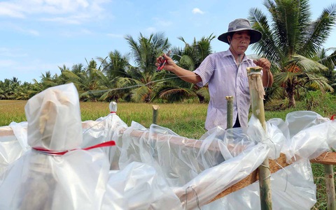 Giải quyết nước sinh hoạt cho người dân ra sao? - Ảnh 1. Giải quyết nước sinh hoạt cho người dân ra sao? - Ảnh 1.
