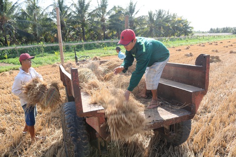 Miền Nam sắp vào đợt triều, hạn mặn tăng mạnh chưa có dấu hiệu dừng - Ảnh 2. Miền Nam sắp vào đợt triều, hạn mặn tăng mạnh chưa có dấu hiệu dừng - Ảnh 2.