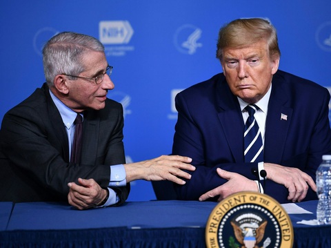 Ông Trump và WHO, ai nói chính xác hơn về tỉ lệ tử vong do corona? - Ảnh 1. Ông Trump và WHO, ai nói chính xác hơn về tỉ lệ tử vong do corona? - Ảnh 1.