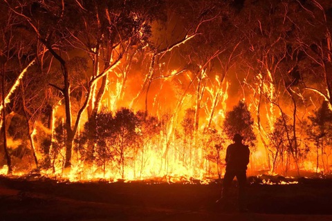 Australia phát triển vệ tinh dự báo cháy rừng - Ảnh 1. Australia phát triển vệ tinh dự báo cháy rừng - Ảnh 1.