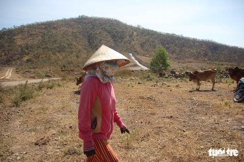 19/21 hồ chứa nước Ninh Thuận cạn nước! - Ảnh 7. 19/21 hồ chứa nước Ninh Thuận cạn nước! - Ảnh 7.