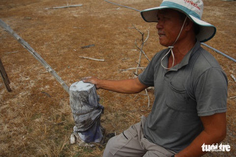 19/21 hồ chứa nước Ninh Thuận cạn nước! - Ảnh 5. 19/21 hồ chứa nước Ninh Thuận cạn nước! - Ảnh 5.
