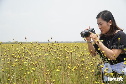Hoàng đầu ấn - loài hoa người xưa gặp là sợ, giờ thành điểm check-in - Ảnh 7. Hoàng đầu ấn - loài hoa người xưa gặp là sợ, giờ thành điểm check-in - Ảnh 7.