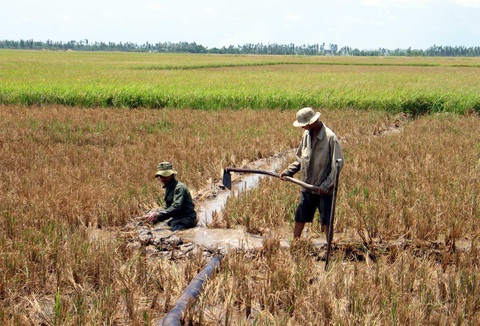 Bắc Bộ nắng nóng đạt ngưỡng 40 độ C, hạn mặn Nam Bộ bắt đầu hạ nhiệt - Ảnh 2. Bắc Bộ nắng nóng đạt ngưỡng 40 độ C, hạn mặn Nam Bộ bắt đầu hạ nhiệt - Ảnh 2.