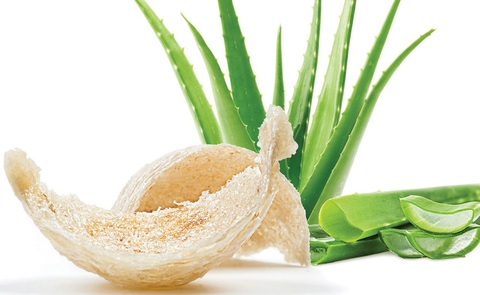 Tăng cường sức khỏe và thanh mát cơ thể với nước trái cây JOCO - Ảnh 1. Tăng cường sức khỏe và thanh mát cơ thể với nước trái cây JOCO - Ảnh 1.