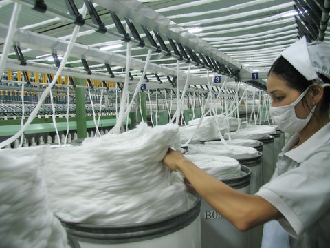 Điều tra sản phẩm sợi polyester nhập khẩu từ nhiều quốc gia - Ảnh 1. Điều tra sản phẩm sợi polyester nhập khẩu từ nhiều quốc gia - Ảnh 1.