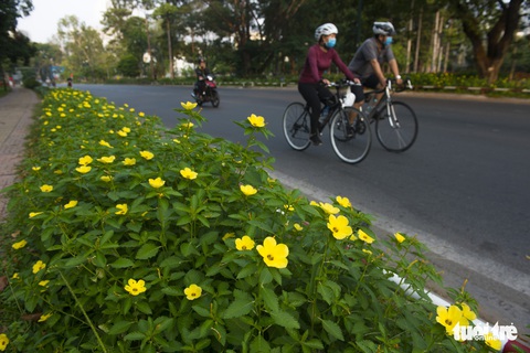 Sài Gòn những ngày không kẹt xe, không chen lấn và ít khói bụi - Ảnh 4. Sài Gòn những ngày không kẹt xe, không chen lấn và ít khói bụi - Ảnh 4.