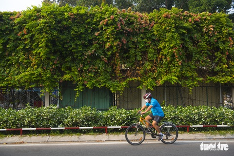 Sài Gòn những ngày không kẹt xe, không chen lấn và ít khói bụi - Ảnh 6. Sài Gòn những ngày không kẹt xe, không chen lấn và ít khói bụi - Ảnh 6.
