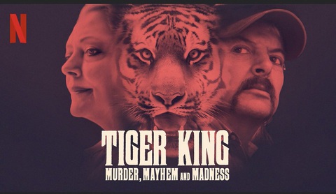 ảnh box - tiger king 1 2(read-only) ảnh box - tiger king 1 2(read-only)