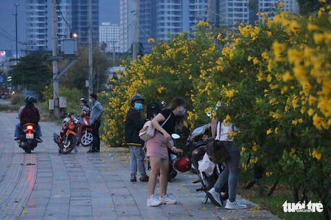 Người dân vô tư chui rào chắn tụ tập thả diều - Ảnh 3. Người dân vô tư chui rào chắn tụ tập thả diều - Ảnh 3.