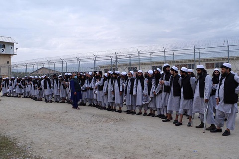 Taliban và Kabul cùng thả tù binh giữa mùa dịch - Ảnh 1. Taliban và Kabul cùng thả tù binh giữa mùa dịch - Ảnh 1.
