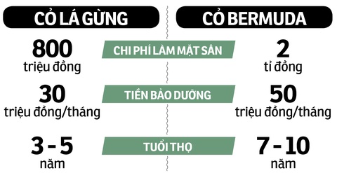 Mặt sân xấu ở V-League: Chủ yếu do cách nghĩ - Ảnh 2. Mặt sân xấu ở V-League: Chủ yếu do cách nghĩ - Ảnh 2.