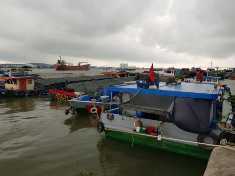 Sau vụ mở tờ khai nửa đêm: Kiến nghị giao hạn ngạch xuất khẩu gạo cho địa phương - Ảnh 1. Sau vụ mở tờ khai nửa đêm: Kiến nghị giao hạn ngạch xuất khẩu gạo cho địa phương - Ảnh 1.
