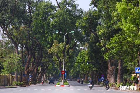 Hết cách ly xã hội tôi sẽ đi cắt tóc, chạy xe ngắm phố - Ảnh 3. Hết cách ly xã hội tôi sẽ đi cắt tóc, chạy xe ngắm phố - Ảnh 3.