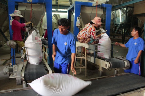 Sau vụ mở tờ khai nửa đêm: Kiến nghị giao hạn ngạch xuất khẩu gạo cho địa phương - Ảnh 5. Sau vụ mở tờ khai nửa đêm: Kiến nghị giao hạn ngạch xuất khẩu gạo cho địa phương - Ảnh 5.