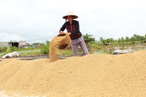 Sau vụ mở tờ khai nửa đêm: Kiến nghị giao hạn ngạch xuất khẩu gạo cho địa phương - Ảnh 2. Sau vụ mở tờ khai nửa đêm: Kiến nghị giao hạn ngạch xuất khẩu gạo cho địa phương - Ảnh 2.