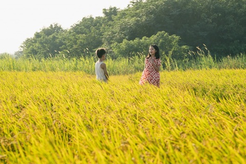 Tigertail: Giấc mơ Mỹ tan vỡ của một người Đài Loan vị kỷ - Ảnh 10. Tigertail: Giấc mơ Mỹ tan vỡ của một người Đài Loan vị kỷ - Ảnh 10.