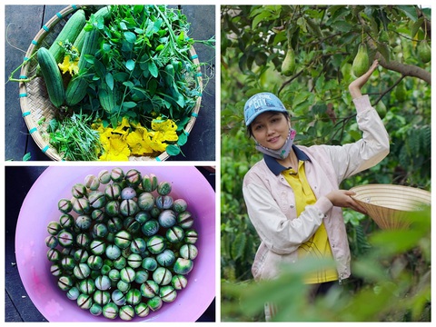 Khi Tóc Tiên, HHen Niê, Lan Phương... ngồi ở nhà và nghĩ tối nay ăn gì? - Ảnh 5. Khi Tóc Tiên, HHen Niê, Lan Phương... ngồi ở nhà và nghĩ tối nay ăn gì? - Ảnh 5.