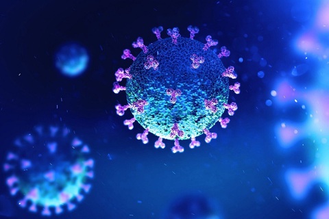 Nhiều phát hiện mới đáng lo về virus corona - Ảnh 1. Nhiều phát hiện mới đáng lo về virus corona - Ảnh 1.