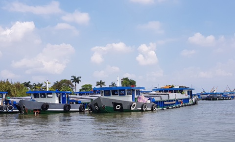 Phải mở cửa cho xuất khẩu gạo - Ảnh 3. Phải mở cửa cho xuất khẩu gạo - Ảnh 3.