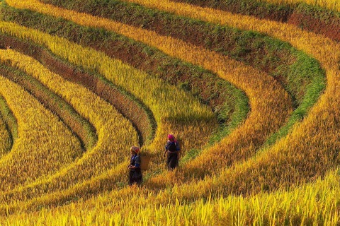 Bức ảnh chung cư rợp quốc kỳ Việt Nam là của một người Ấn Độ sống ở Hà Nội - Ảnh 9. Bức ảnh chung cư rợp quốc kỳ Việt Nam là của một người Ấn Độ sống ở Hà Nội - Ảnh 9.