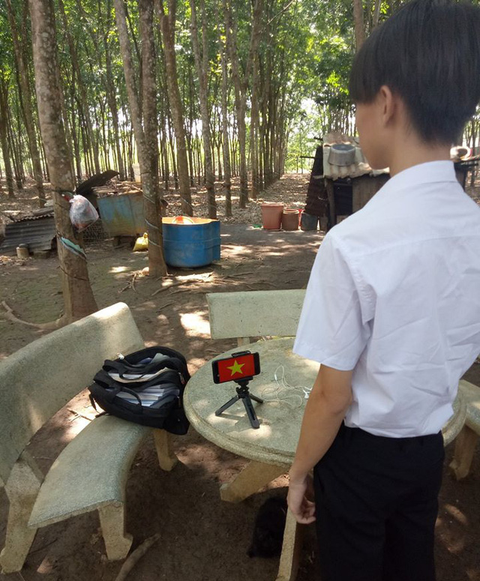 Học sinh đồng loạt chào cờ trực tuyến sáng đầu tuần - Ảnh 3. Học sinh đồng loạt chào cờ trực tuyến sáng đầu tuần - Ảnh 3.