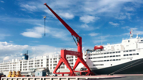 Vướng nghị định, cảng quốc tế Long An không được nhập khẩu... bò - Ảnh 1. Vướng nghị định, cảng quốc tế Long An không được nhập khẩu... bò - Ảnh 1.