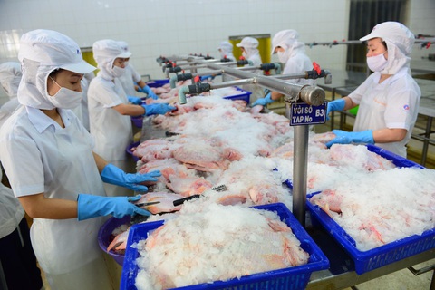 TP.HCM chỉ đạo đáp ứng nhu cầu vốn cho doanh nghiệp trong và sau dịch - Ảnh 1. TP.HCM chỉ đạo đáp ứng nhu cầu vốn cho doanh nghiệp trong và sau dịch - Ảnh 1.