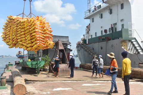 Kiến nghị vẫn áp dụng nghị định 107 điều hành xuất khẩu gạo - Ảnh 1. Kiến nghị vẫn áp dụng nghị định 107 điều hành xuất khẩu gạo - Ảnh 1.