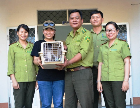 Người dân giao nộp tê tê Java và voọc chà vá chân xám - Ảnh 1. Người dân giao nộp tê tê Java và voọc chà vá chân xám - Ảnh 1.