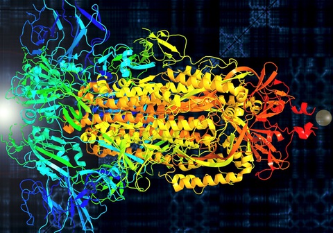 Biến virus SARS-CoV-2 thành âm nhạc để hỗ trợ nghiên cứu - Ảnh 1. Biến virus SARS-CoV-2 thành âm nhạc để hỗ trợ nghiên cứu - Ảnh 1.