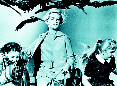 Tippi Hedren - Người đẹp tóc vàng - ân nhân của nhiều người Việt ở Mỹ - Ảnh 3. Tippi Hedren - Người đẹp tóc vàng - ân nhân của nhiều người Việt ở Mỹ - Ảnh 3.